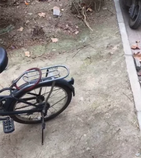 一个折叠自行车 感兴趣的话点“我想要”和我...