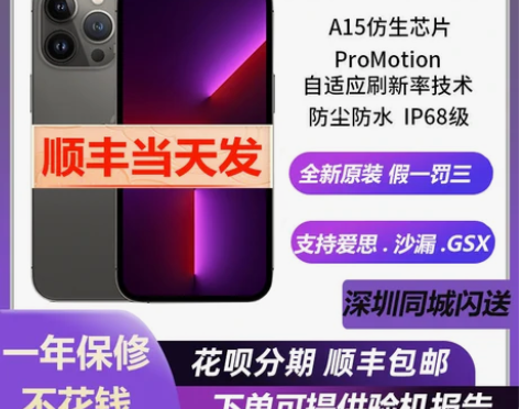 Apple/苹果 iPhone 13 Pr...