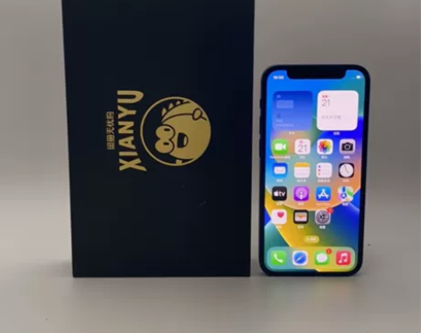 95新Apple/苹果 iPhone 12...