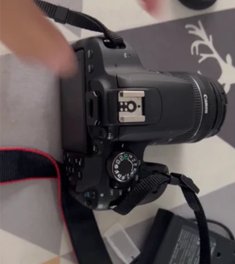 自用佳能（Canon） EOS 800D单...