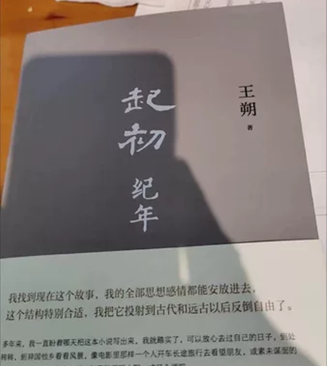 王朔新书 起初纪年平装王朔作品文集现代随笔...