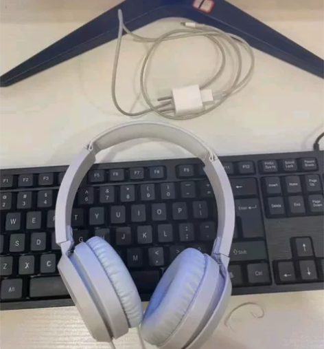 飞利浦耳机 到手三天 嘎嘎新 京东购买 可...