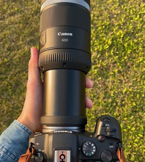 出佳能RF600mm f11超长焦镜头（有...