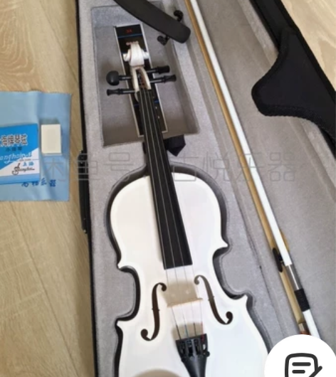 老师推荐入门小提琴处理 全新包邮 手工小提...
