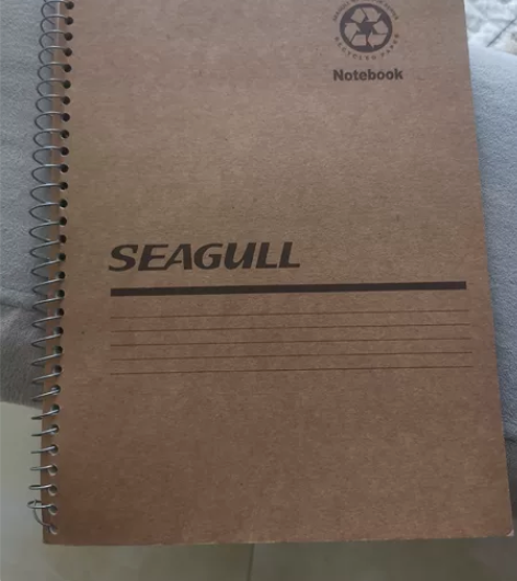 医龙笔记本 感兴趣的话点“我想要”和我私聊...