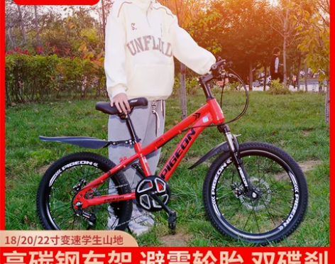飞鸽儿童山地自行车男女生6-8-10-12...