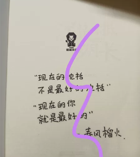 深情可抵岁月长1,春风榴火,裸书,印特,可...