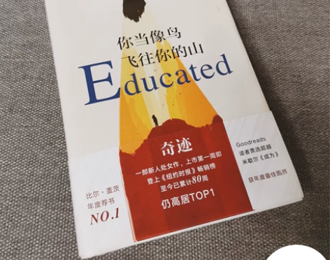 正版你当像鸟飞往你的山比尔盖茨外国文学散文...