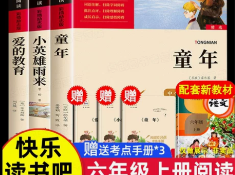 爱的教育小英雄雨来童年书高尔基正版原著六