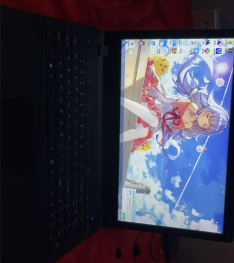 机械师 M510战神游戏本 GTX850神...