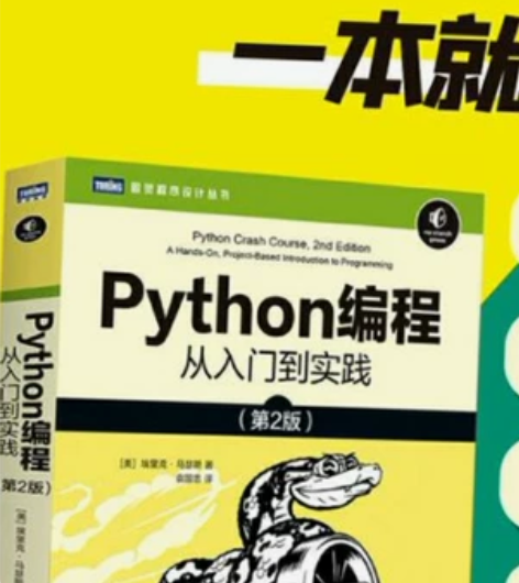 少儿编程python 辅导 入门 教学 本...
