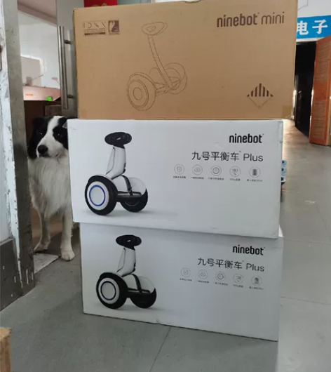 Ninebot九号平衡车Plus 双轮智能...