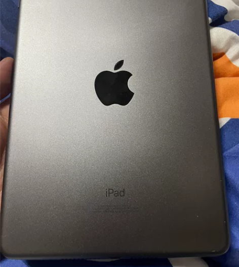 自用iPadmini 5 换小米平板 5p...