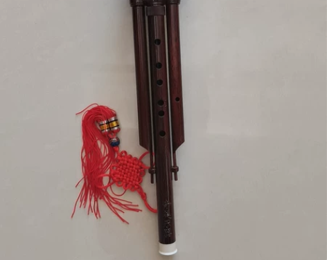 奇美，葫芦丝。新旧程度  一直放着没用过 ...