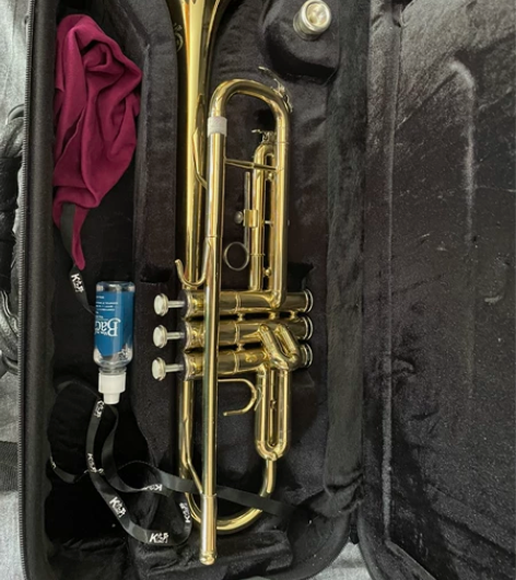 九野小号，乐器，西洋铜管乐器，管乐团乐队初...