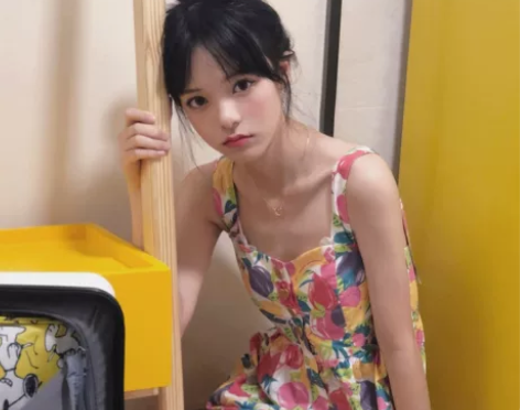 dodoroom!原创设计 水果篮子 热带...