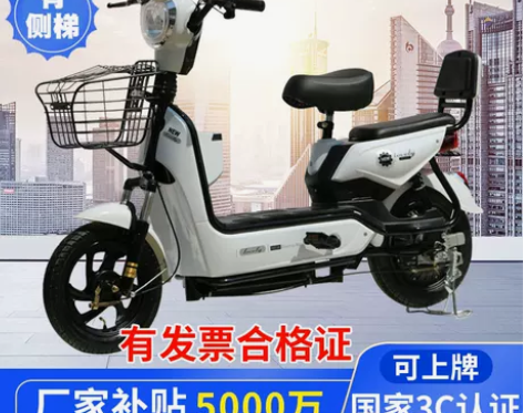 电动车 新国标成人电动自行车高速电瓶车新日...