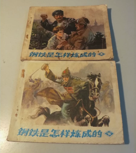 七八十年代的旧书一套两本，完整不缺，成色一...