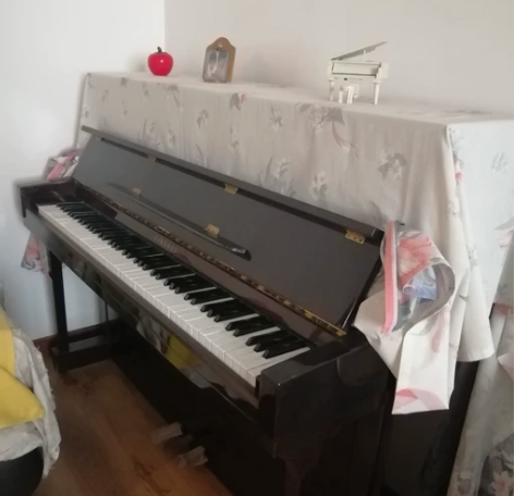 给孩子买的星海钢琴，几乎没用过，现在搬家，...