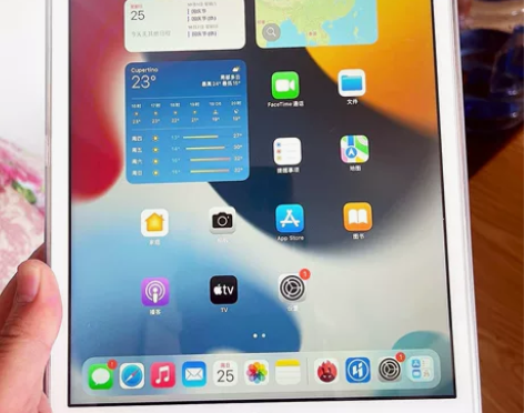 （捡漏）基本全新，2019款7代iPad苹...