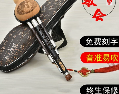 葫芦丝乐器旗舰店初学者小学生专用C调降b调