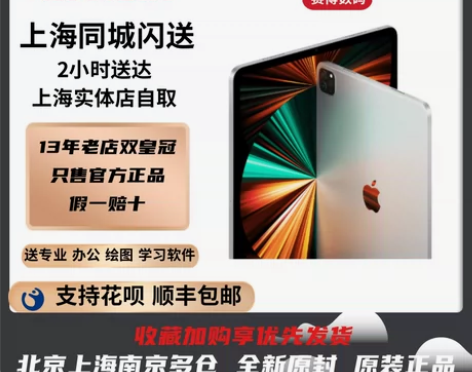 2021新款Apple/苹果 iPad P...