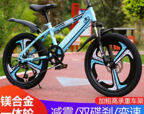 上海永久儿童自行车6-16岁中大童脚踏车山...