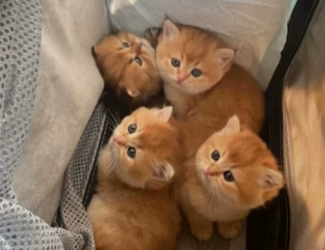 价格15元一次!!!!!!3公里内 超过每...