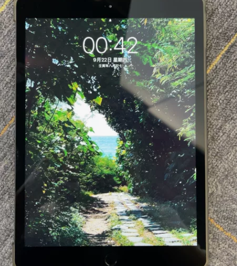 出台二手ipad 第7代 带指纹识别 32...