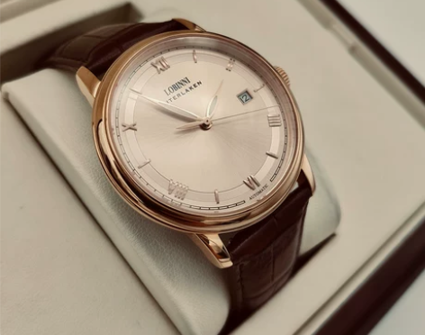 罗宾尼正品牌男士机械手表男全自动表真皮带防...