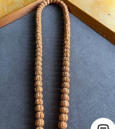 【超级福利】矮桩平头细纹树祖小金刚多圈10...