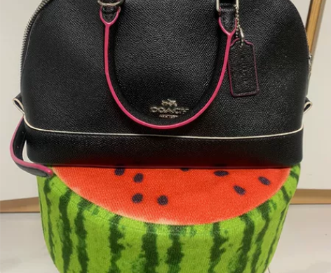 COACH/蔻驰 小号单肩斜挎手提 贝壳包...