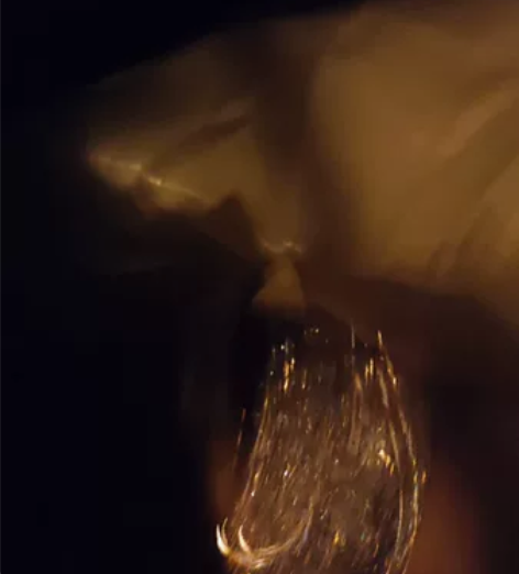 DAVENA蒂玮娜时来运转五芒星 只戴过几...