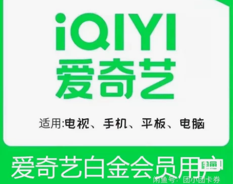 爱奇艺白金会员一个月30天VIP银河奇异果...