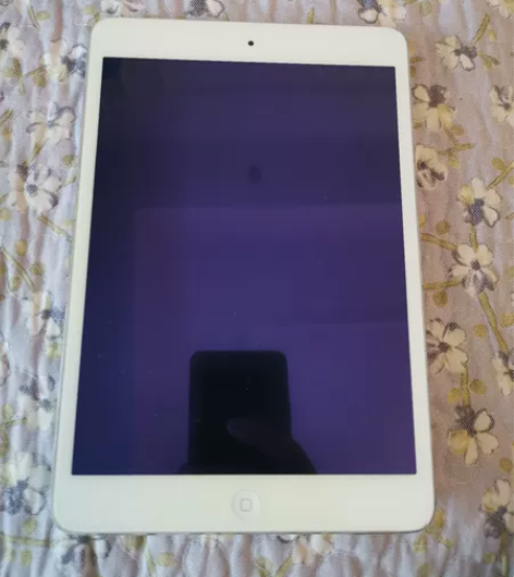 ipadmini16G苹果处理了，由于换了...