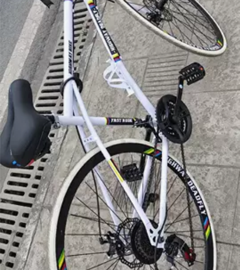 死飞百士顿，买了差不多一个月，过年回家带不...