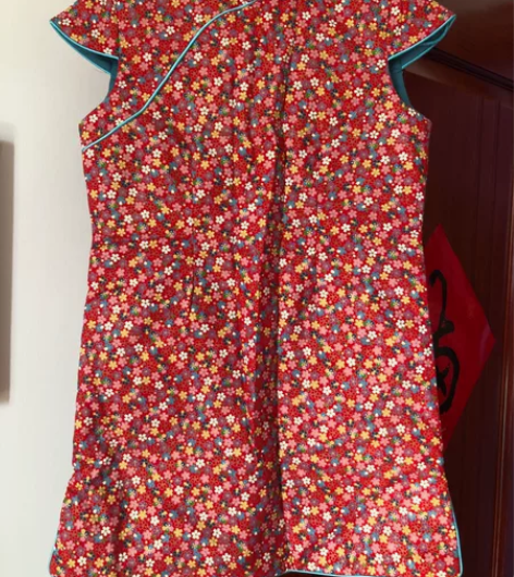 全新民族风夹棉短袖裙子全新，无袖小马甲裙，...