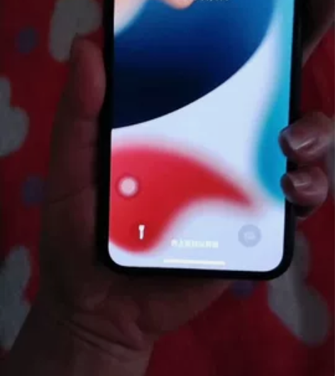 苹果X64G iPhoneX 64G 自用...