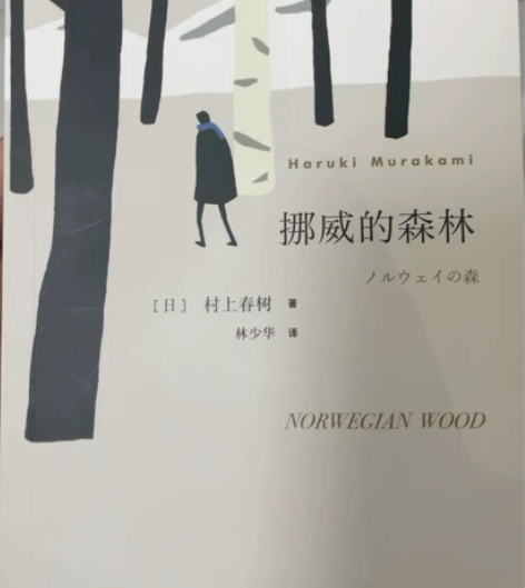 挪威的森林，九五新，已看完，书架不够了 感...