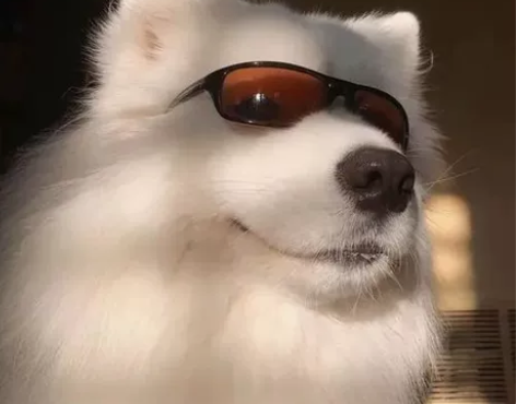 c++，java，代码辅导，算法题，数据结...