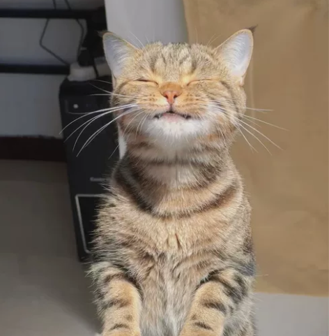 axure原型 代画、需求分析、需求优化，想做什么跟我说，7...