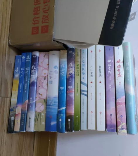 青春文学 言情小说 有意私聊 自选2本以上...