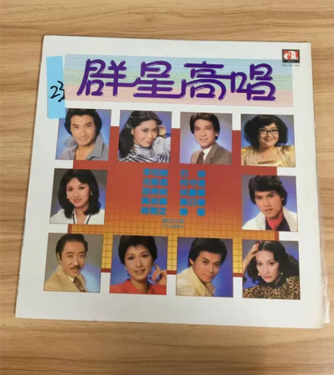 中国流行歌曲唱片,群星高唱黑胶唱片LP,明...