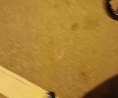 美利达500车况免检，功能正常，成色如图有...