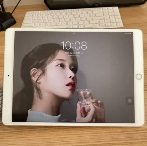 低价出自己用的ipad pro10.5内存...