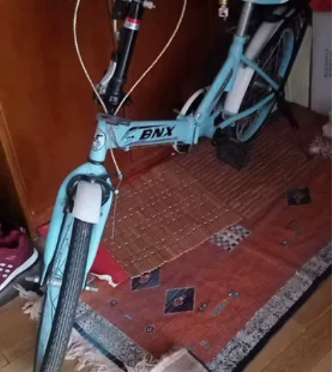 折叠自行车9成新 感兴趣的话点“我想要”和...