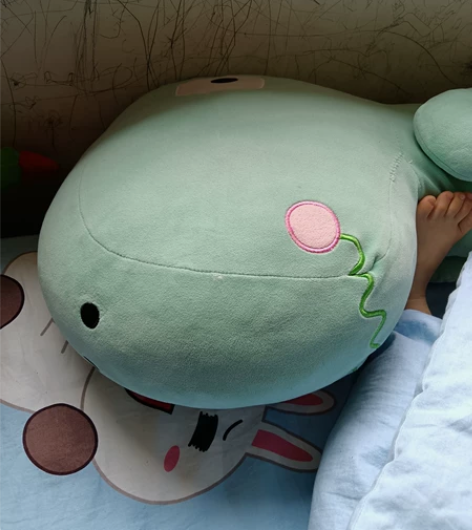 龙狼传一二部娃娃不单出 全新未拆售出不退不...