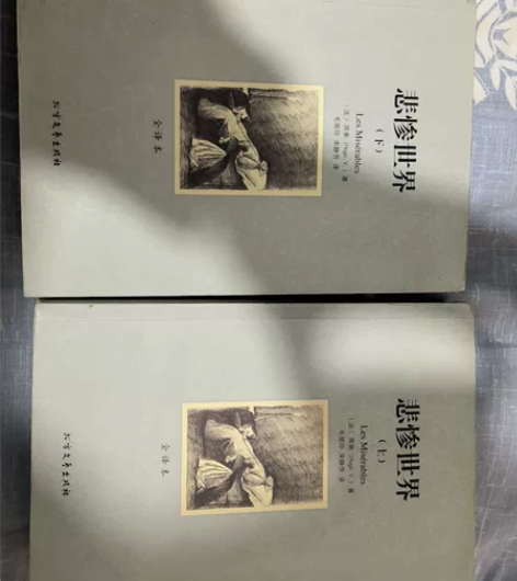 悲惨世界上下册 2手书主页有名字，外观正常...