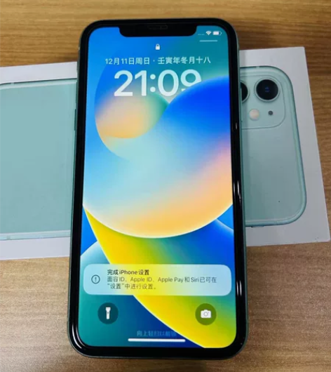 苹果11 iPhone11 国行 绿色 1...