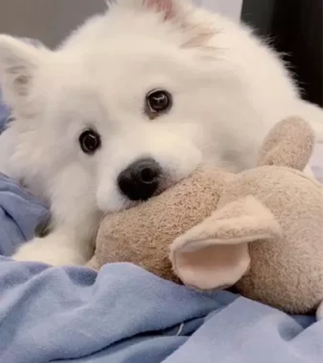 价格40一次！！！！！！5公里内 超过每公...